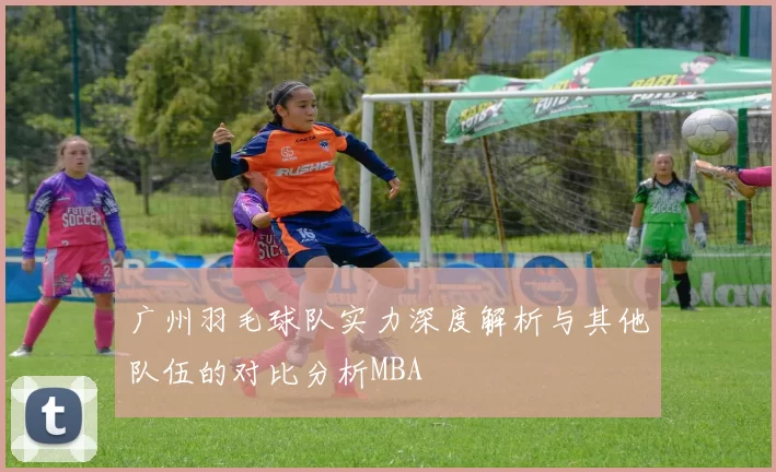 广州羽毛球队实力深度解析与其他队伍的对比分析MBA