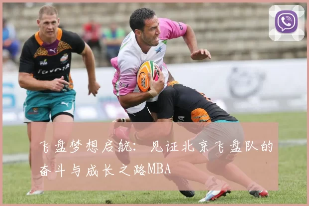 飞盘梦想启航：见证北京飞盘队的奋斗与成长之路MBA