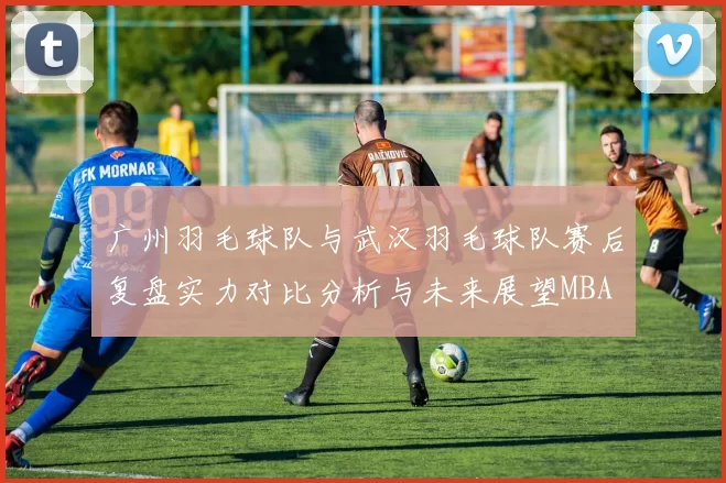 广州羽毛球队与武汉羽毛球队赛后复盘实力对比分析与未来展望MBA