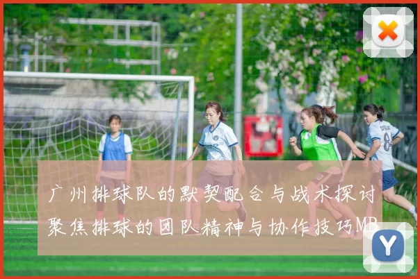 广州排球队的默契配合与战术探讨聚焦排球的团队精神与协作技巧MBA