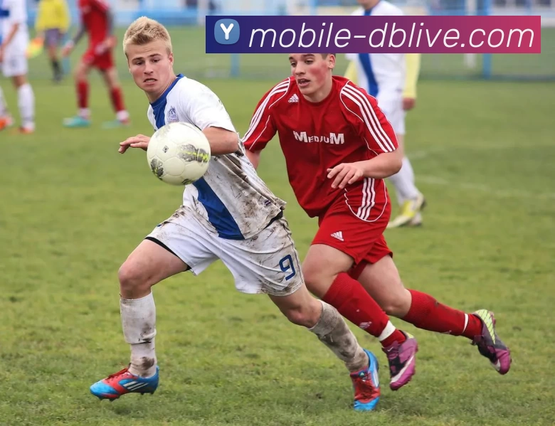 DB真人服务体系