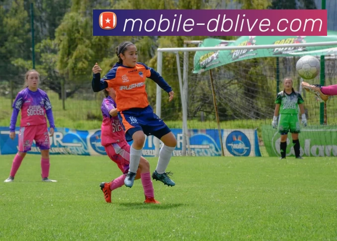 多媒体互动体验