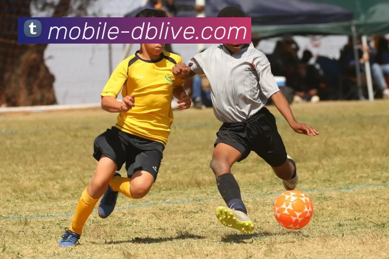 DB真人APP 高清赛事图